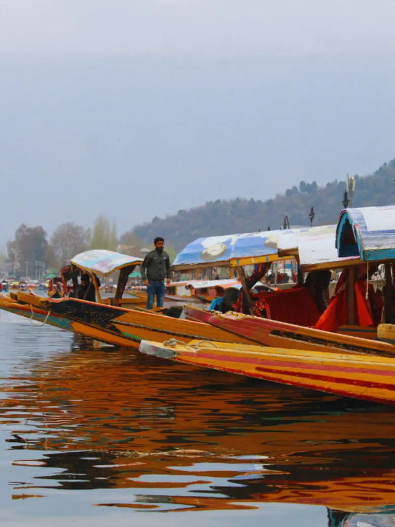 Shikaras waiting on Dal Lake in Kashmir