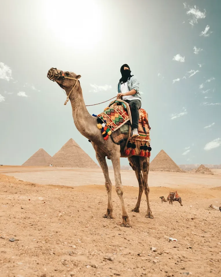 A camel rider in front of the pyramids of Giza, Egypt